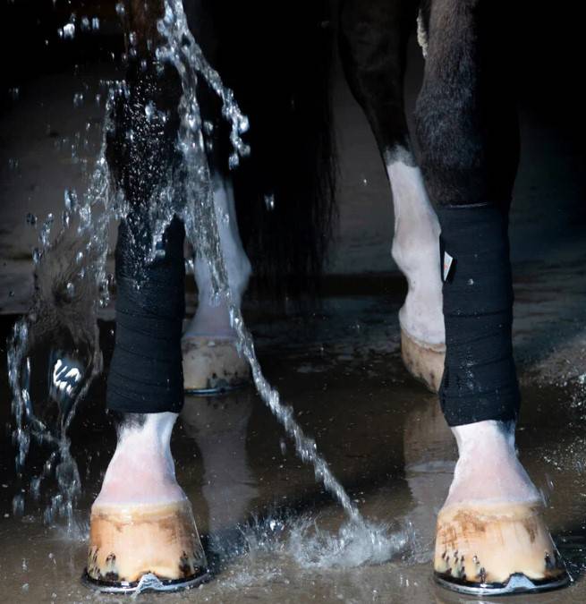 Bandes de travail circulation NOIR - Incrediwear Equine