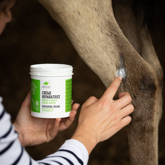 Crème réparatrice - Ekinat