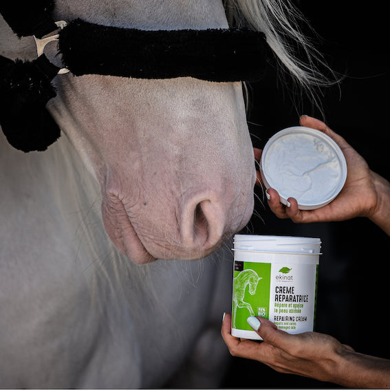 Crème réparatrice - Ekinat