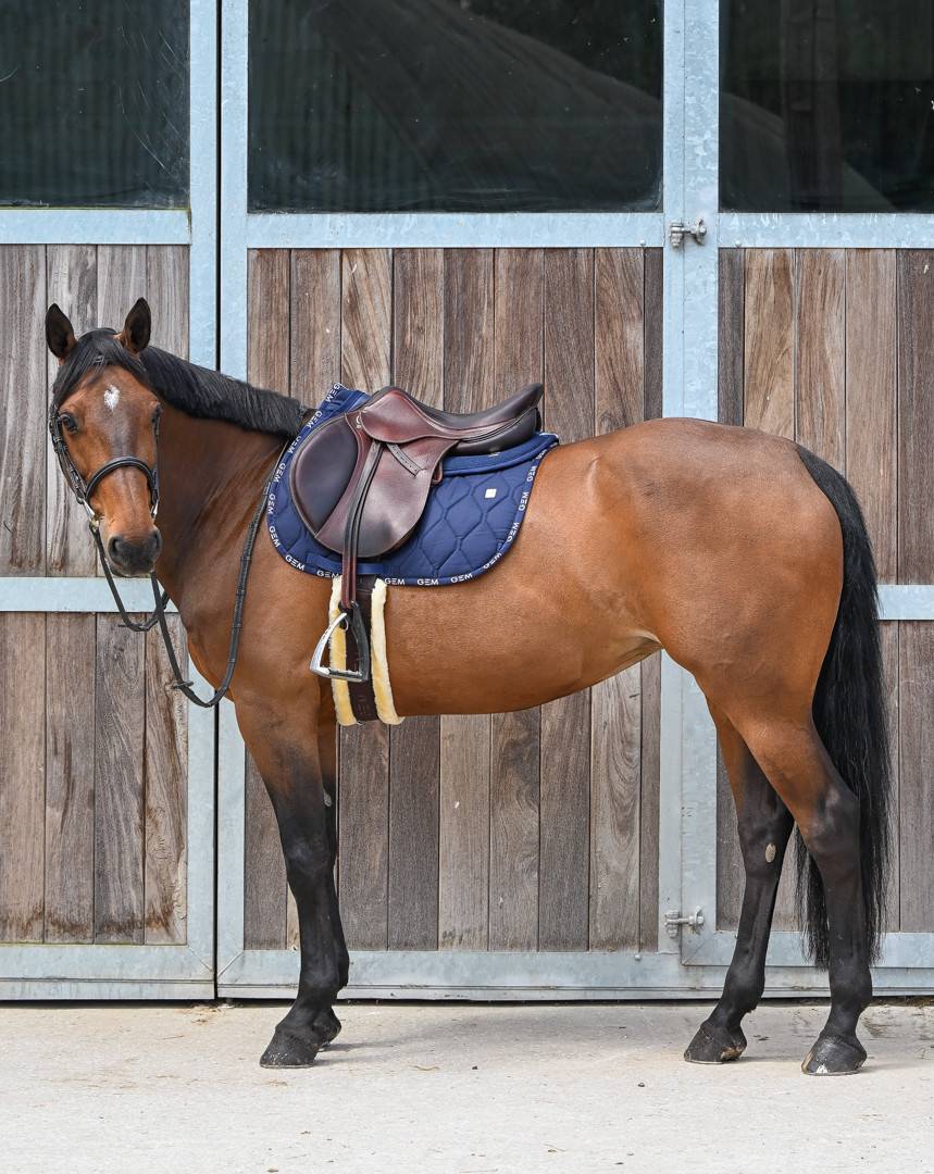 LOVE saddle pad - GEM
