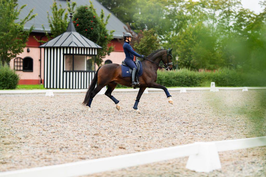 Tapis de selle Modern Lagoon Blush - Equestrian Stockholm