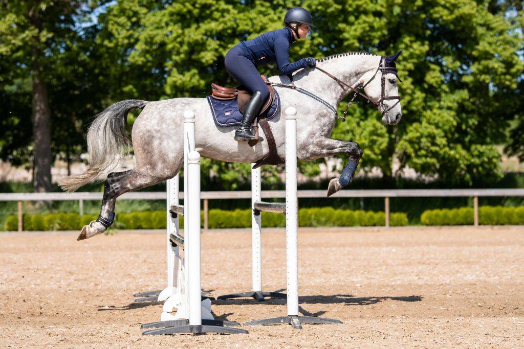 Tapis de selle Lagoon Blush - Equestrian Stockholm