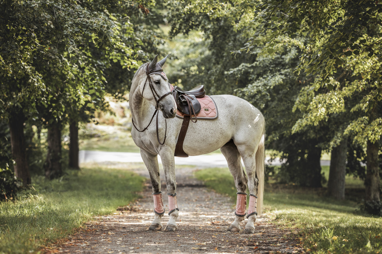 PINK PEARL saddle pad - Equestrian Stockholm