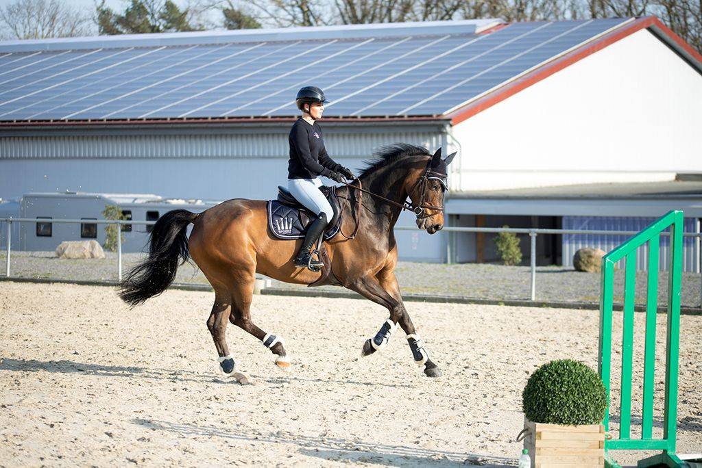 Crown Shiny Rug - Spooks