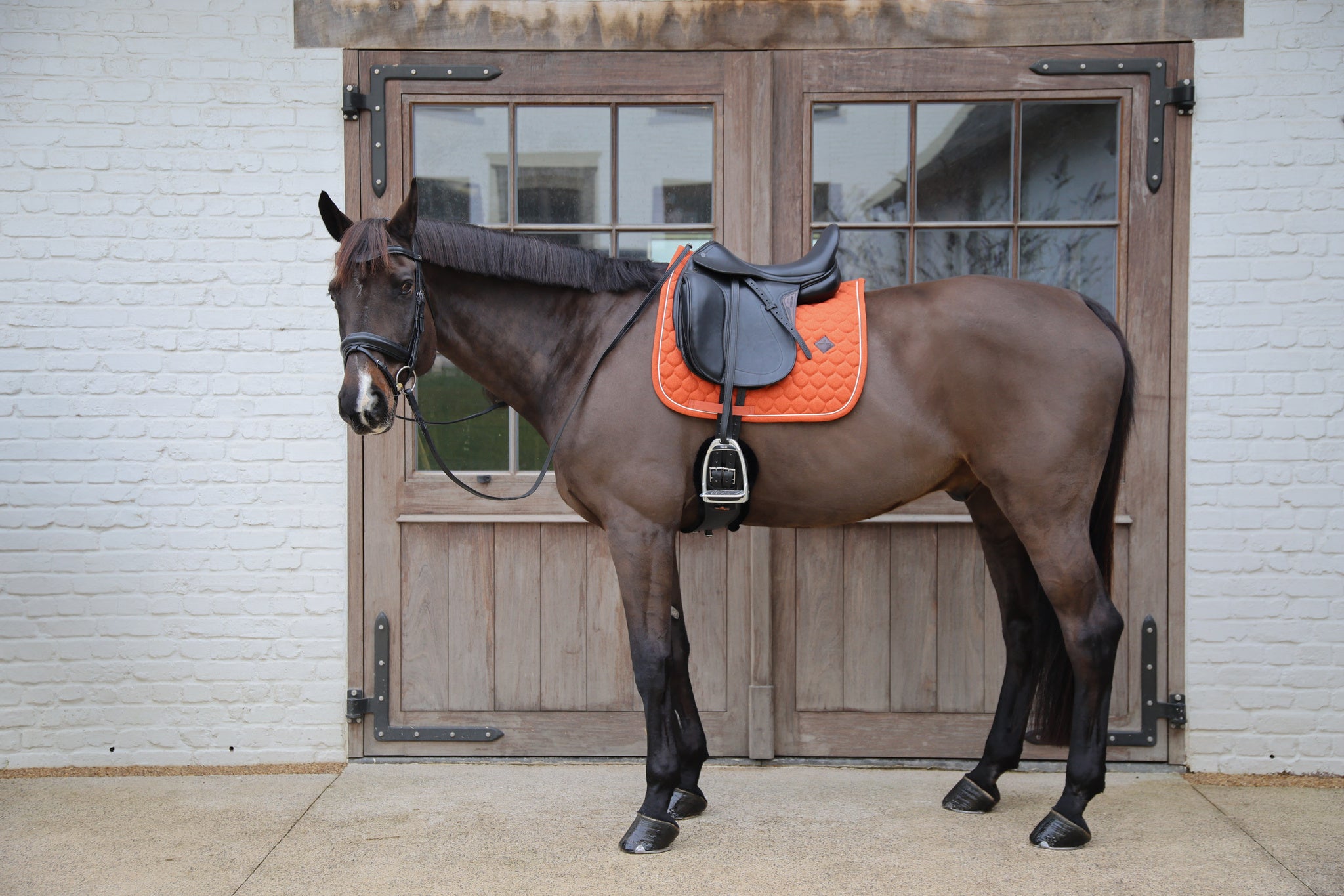Tapis de selle Melange DRESSAGE - Kentucky