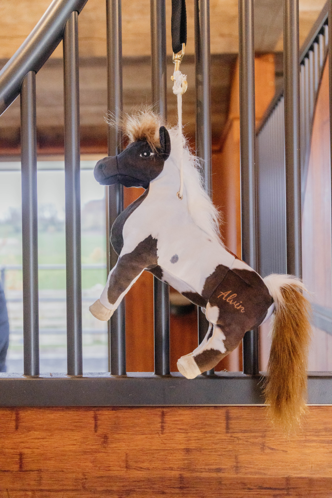 Alvin Pony Boxing Toy - Kentucky