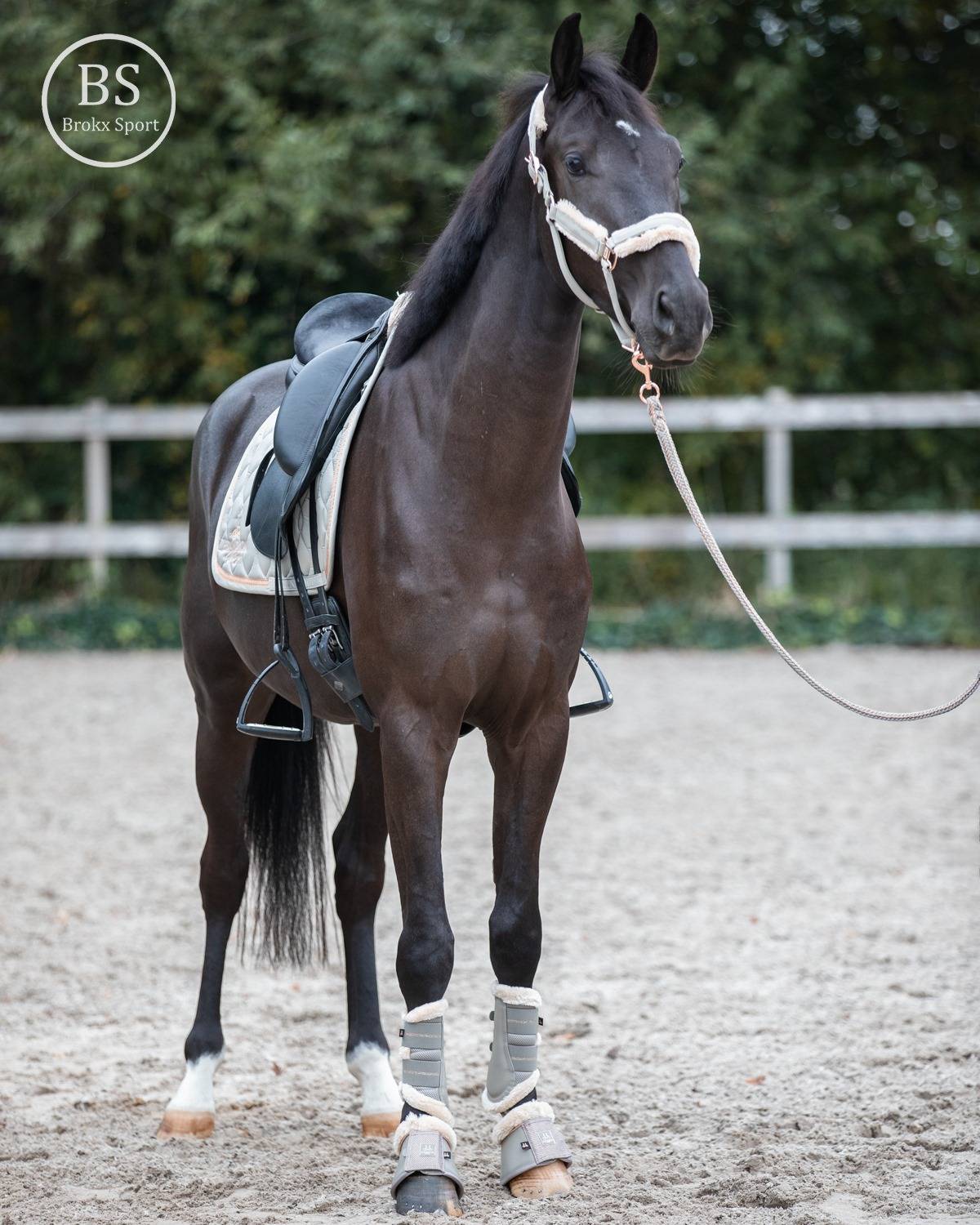 Guêtres Mesh faux fur Heritage 2020 - Eskadron