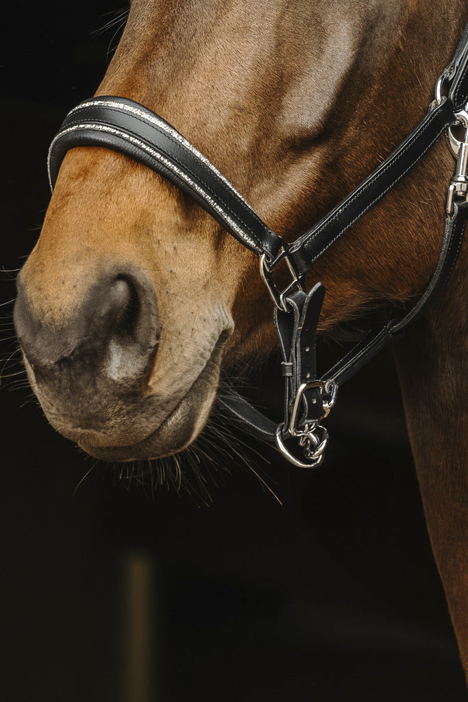 Rock Leather Halter - Norton