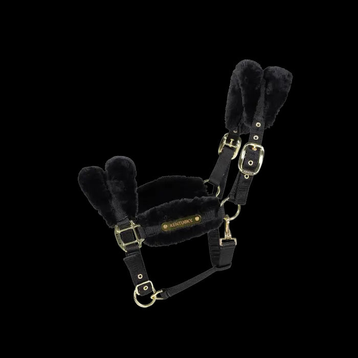 Licol nylon mouton Soft - Kentucky