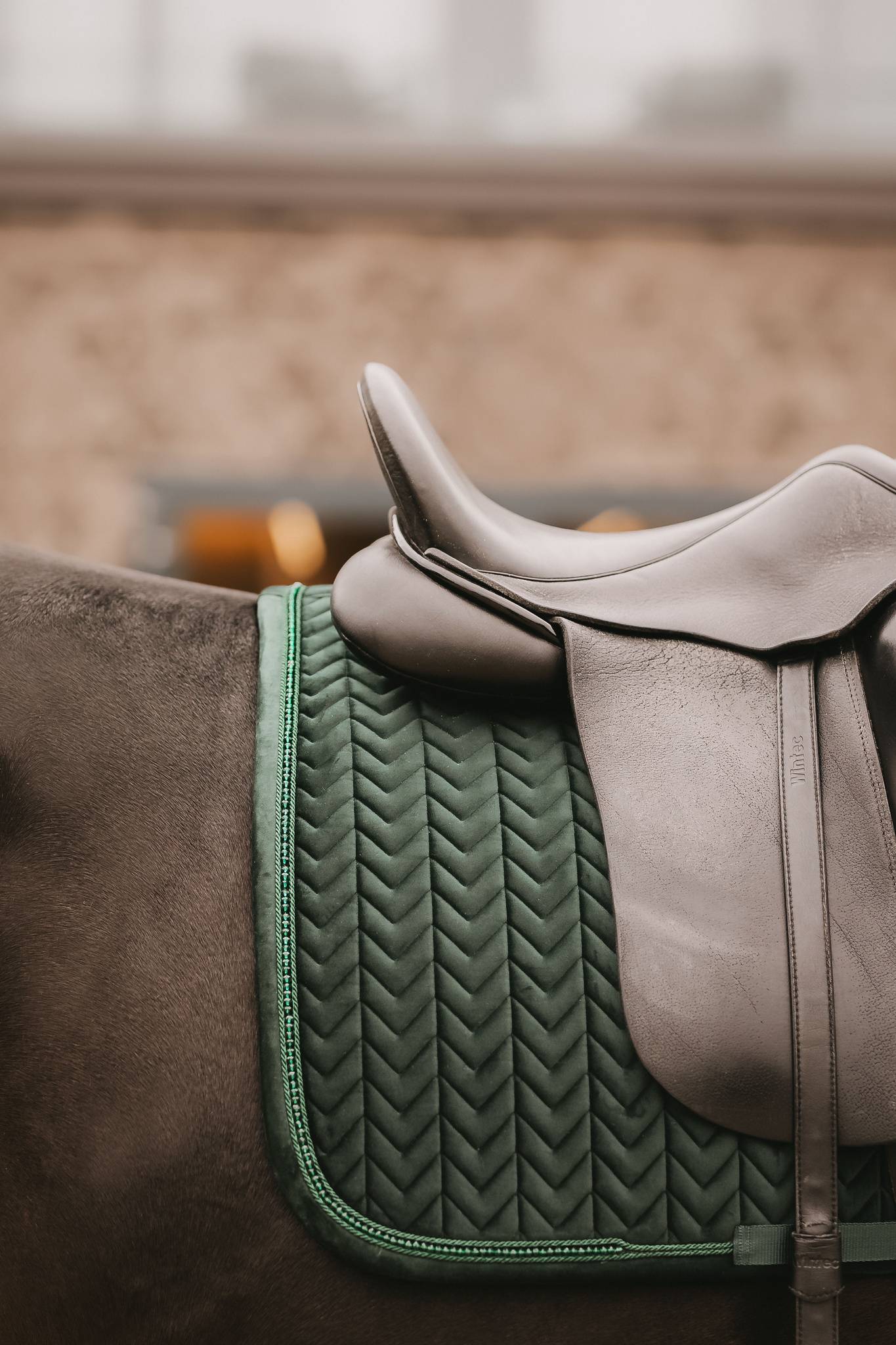 Velvet Pearl Fir Green Rug - KENTUCKY