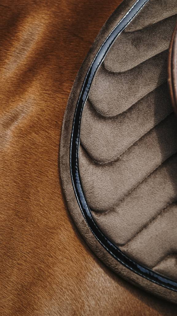 Glossy Carpet - Equithème