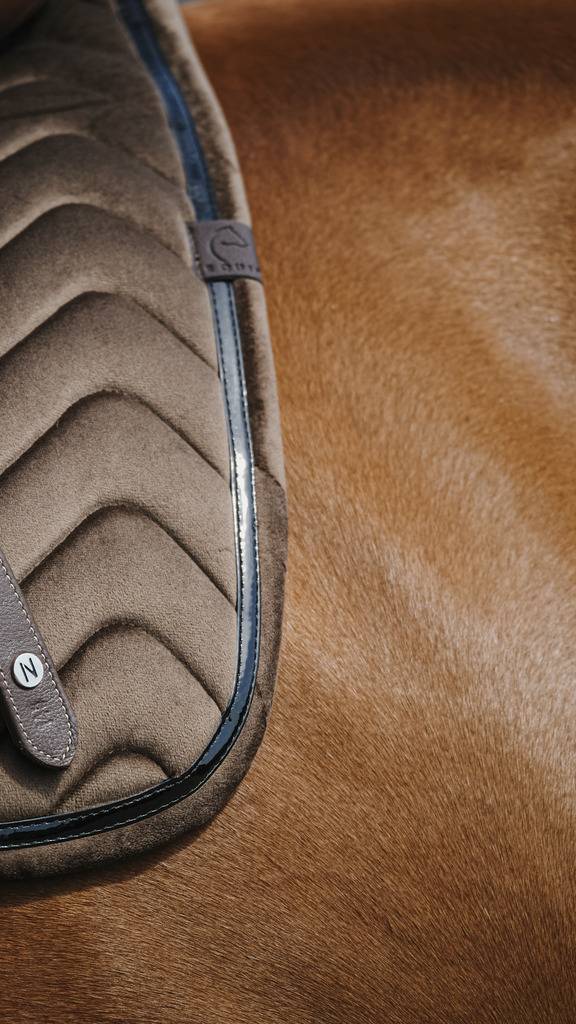 Glossy Carpet - Equithème