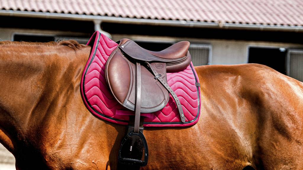 Glossy Carpet - Equithème