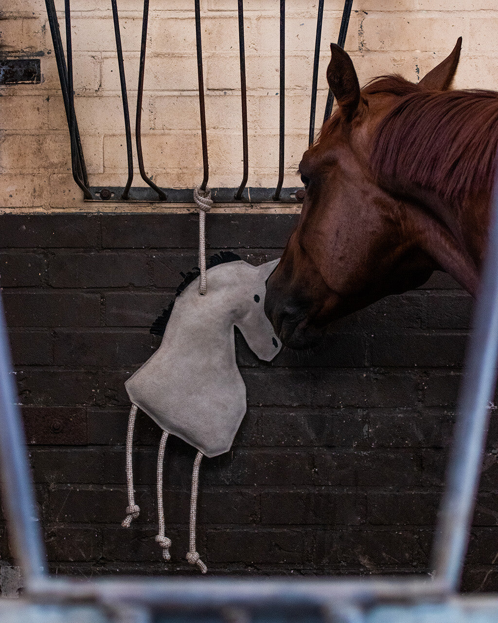 Jouets pour chevaux Cheval - QHP