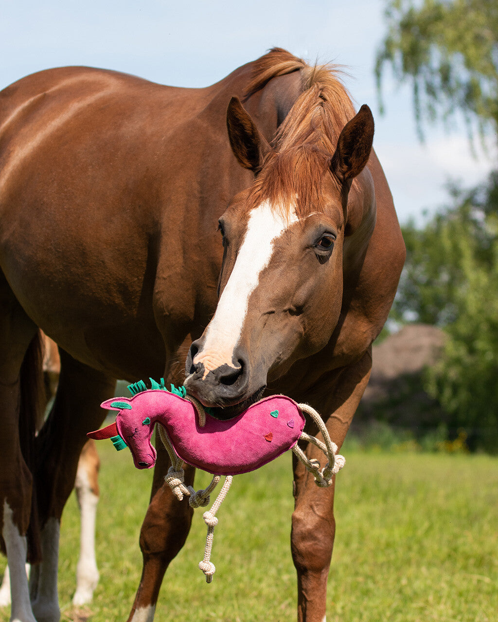 Jouet de box Licorne - QHP