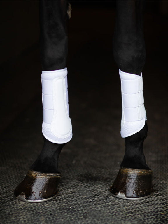 Classic mesh dressage gaiters White Rose Gold - Equestrian Stockholm