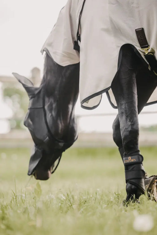 Classic fly mask with nose and ears - Kentucky