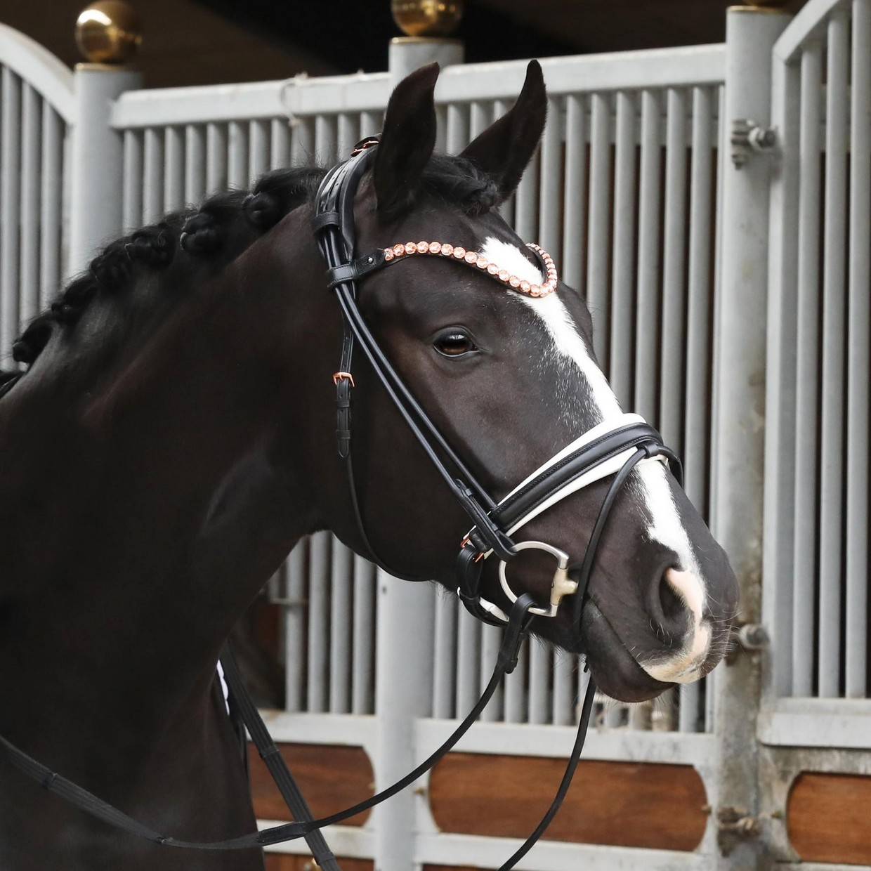 FLEUR round black leather bridle with white lining - SD Design