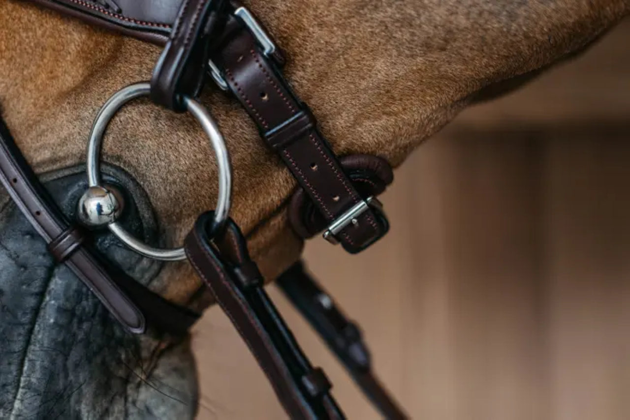 Bridon muserolle pull back tressée - Dy&