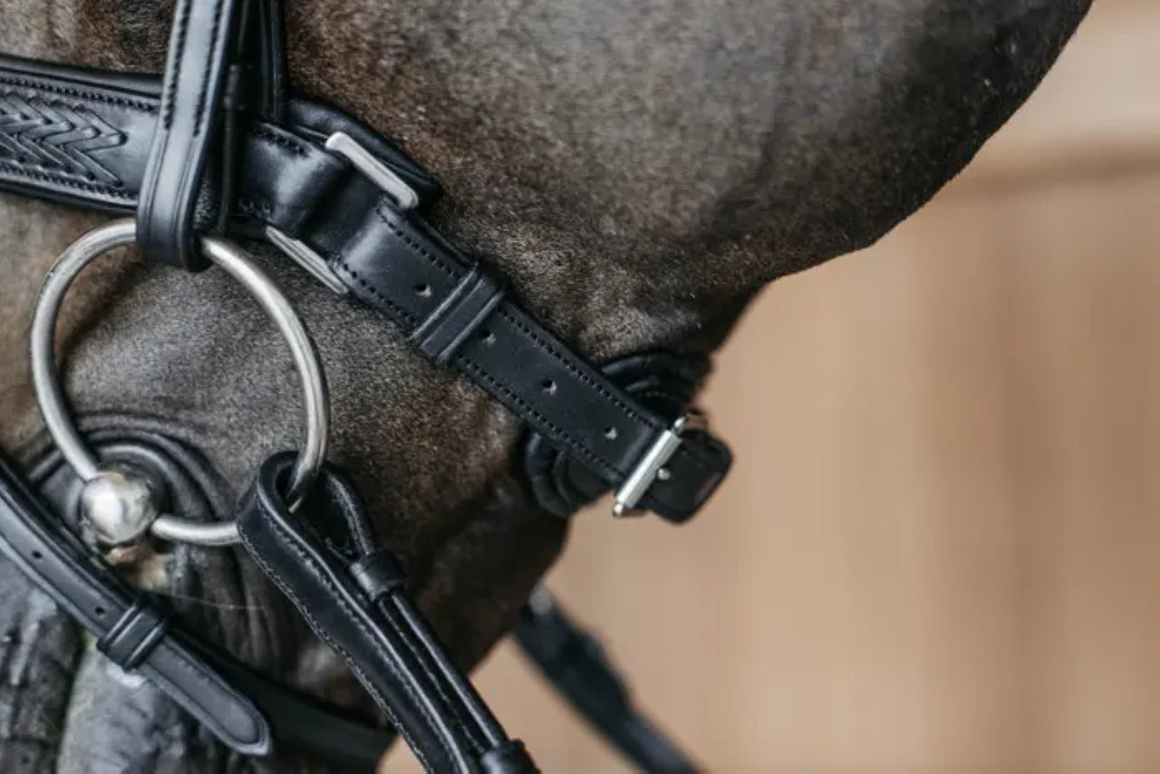 Bridon muserolle pull back tressée - Dy&