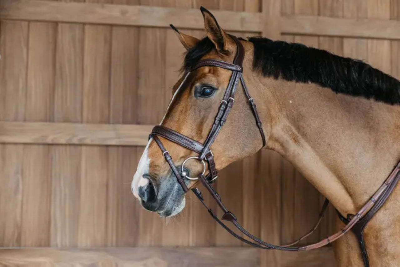 Bridon muserolle pull back tressée - Dy&