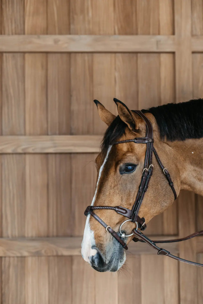 Round braided combined noseband bridle - Dy&