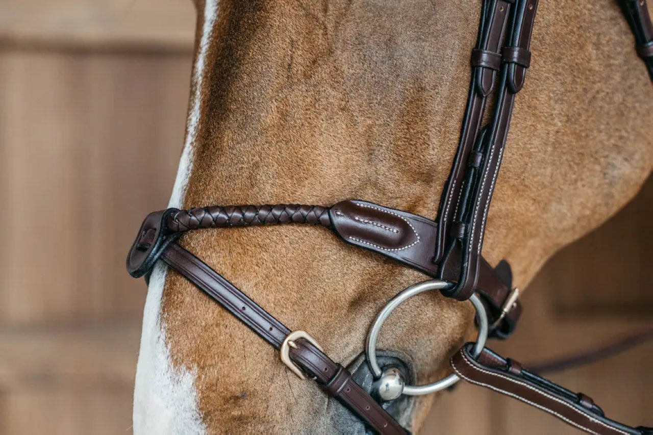 Round braided combined noseband bridle - Dy&