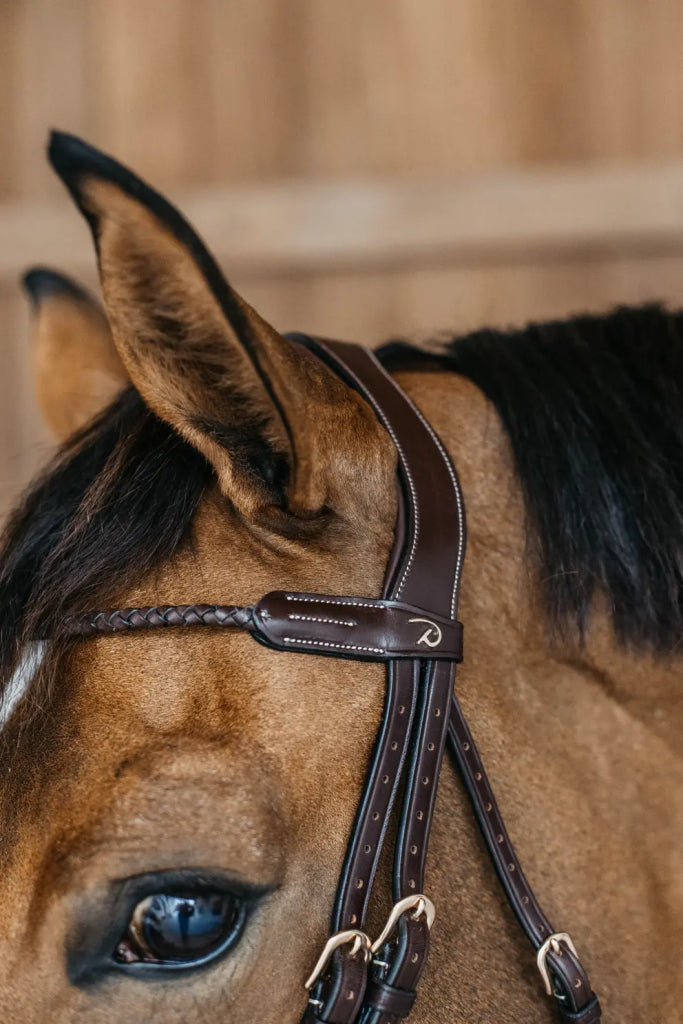 Round braided combined noseband bridle - Dy&