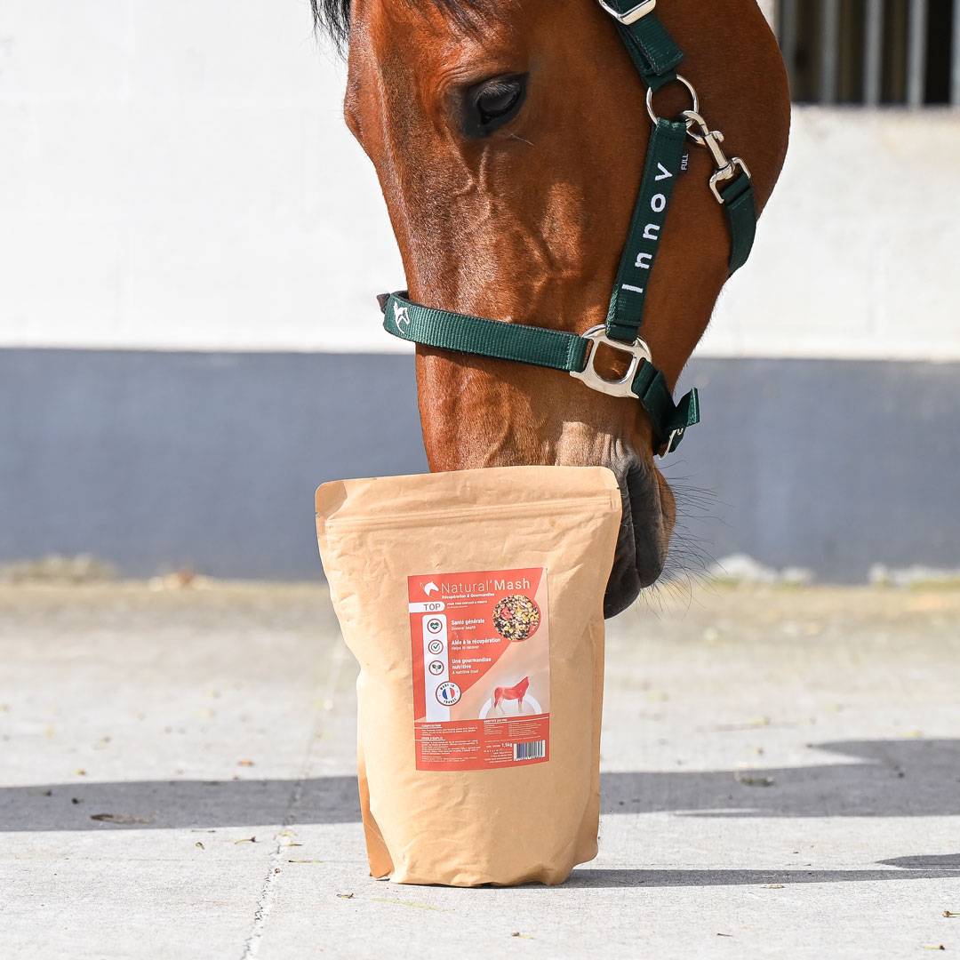 Mash for horses Natural&