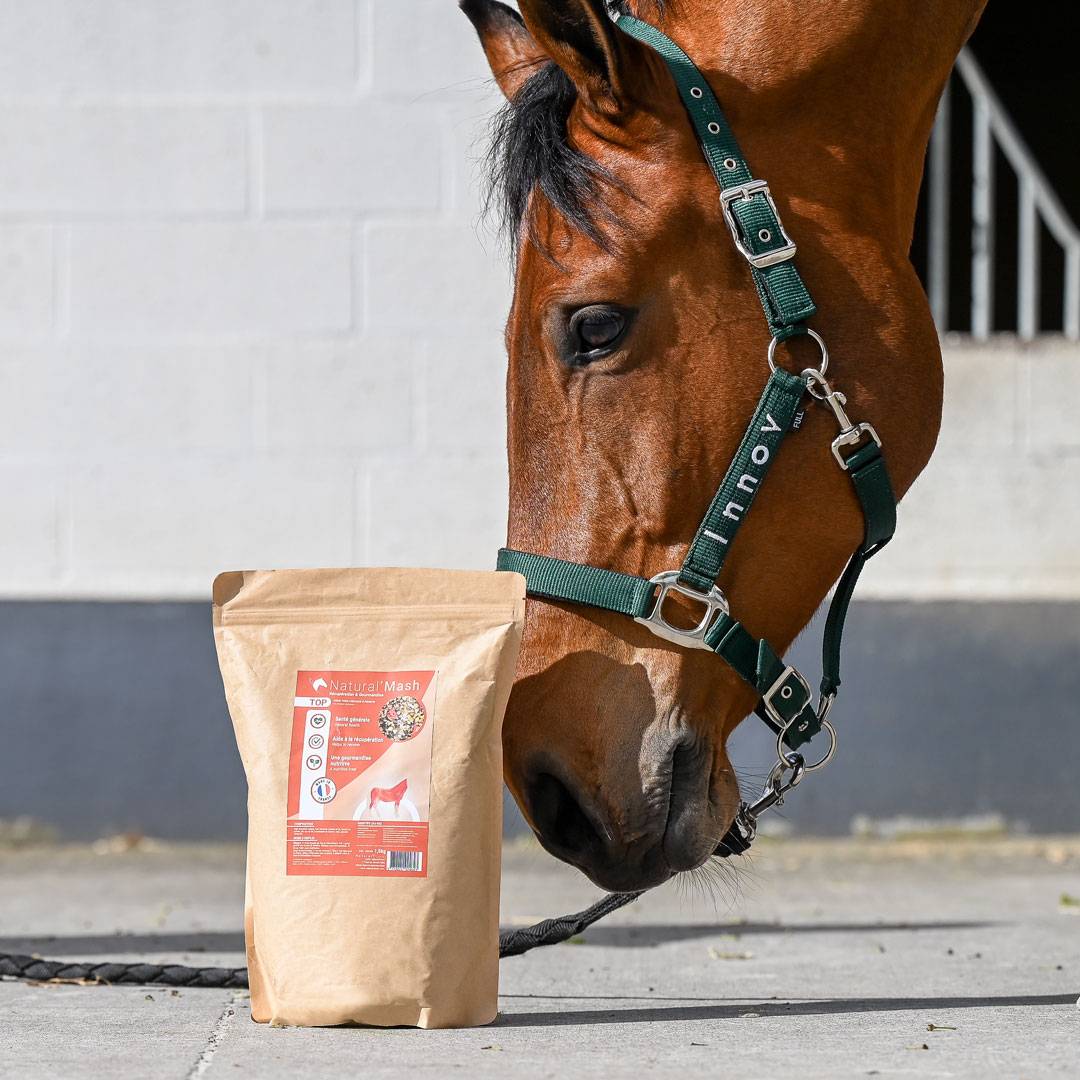 Mash for horses Natural&