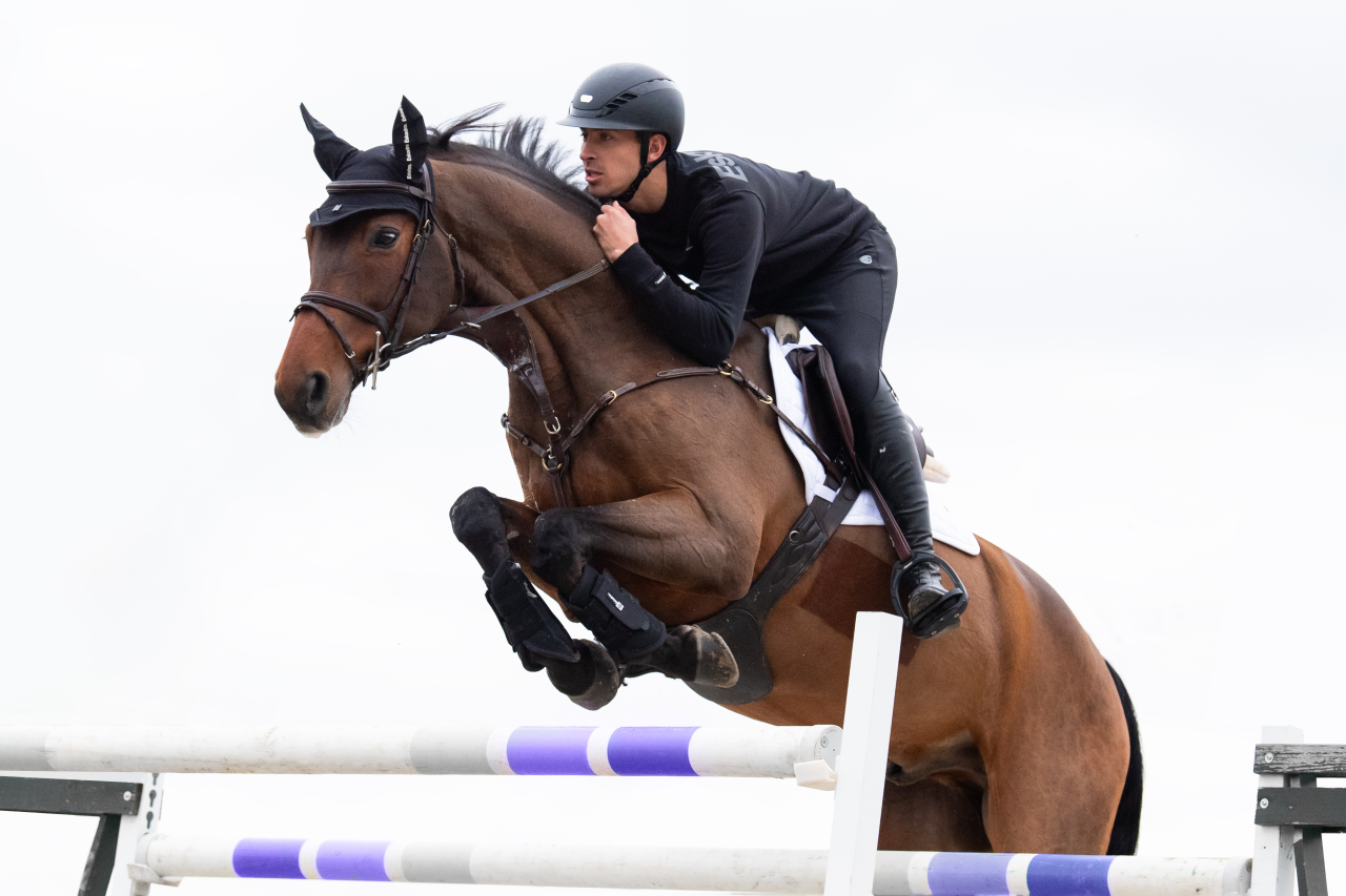 Mesh Dynamic 2024 dressage gaiters - Eskadron