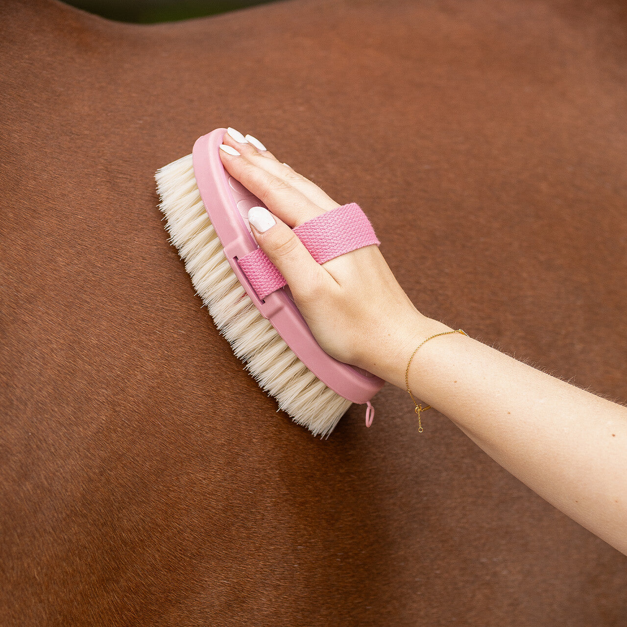 Brosse douce Lyvia - QHP