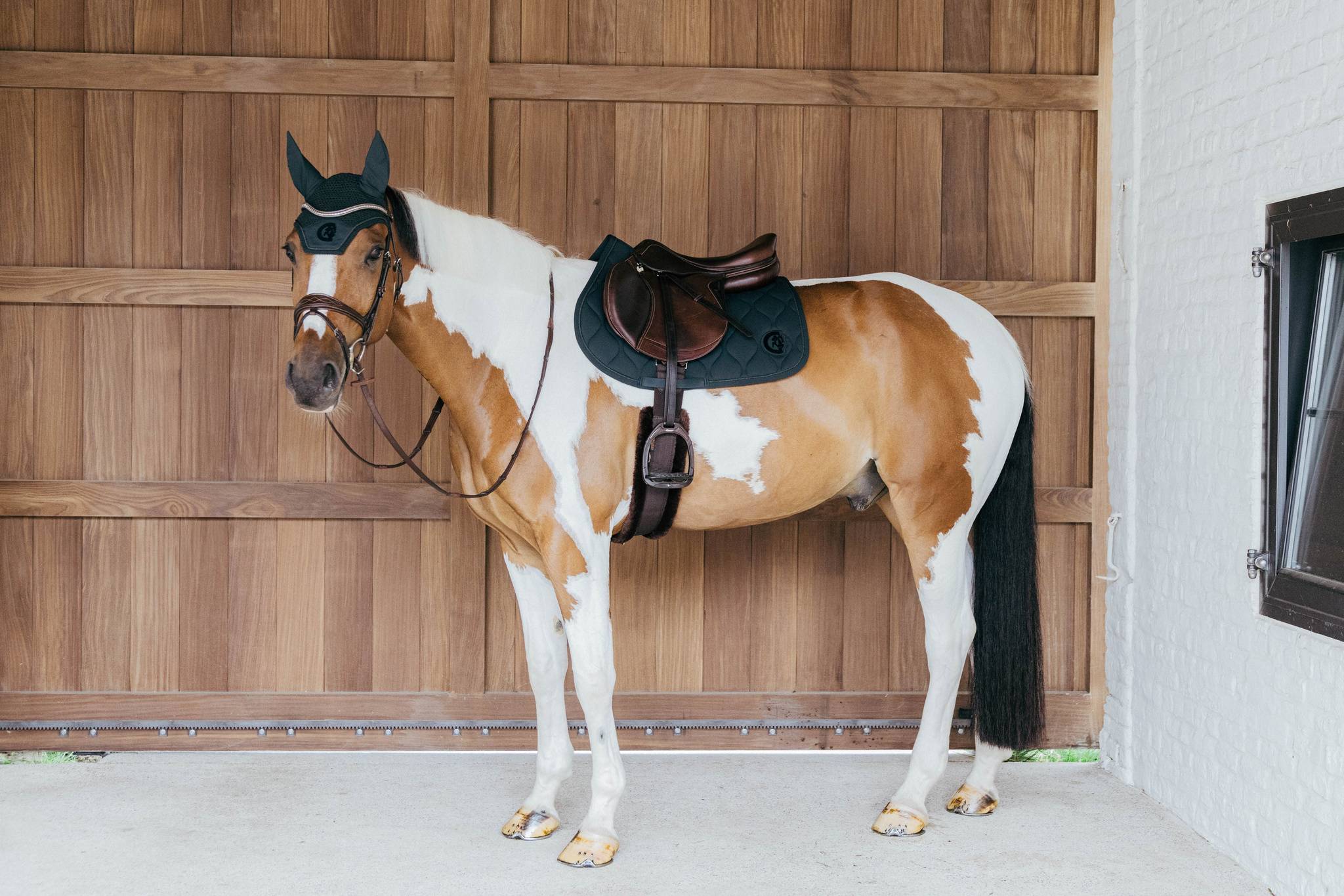 Tapis de selle 3D Wave - Kentucky