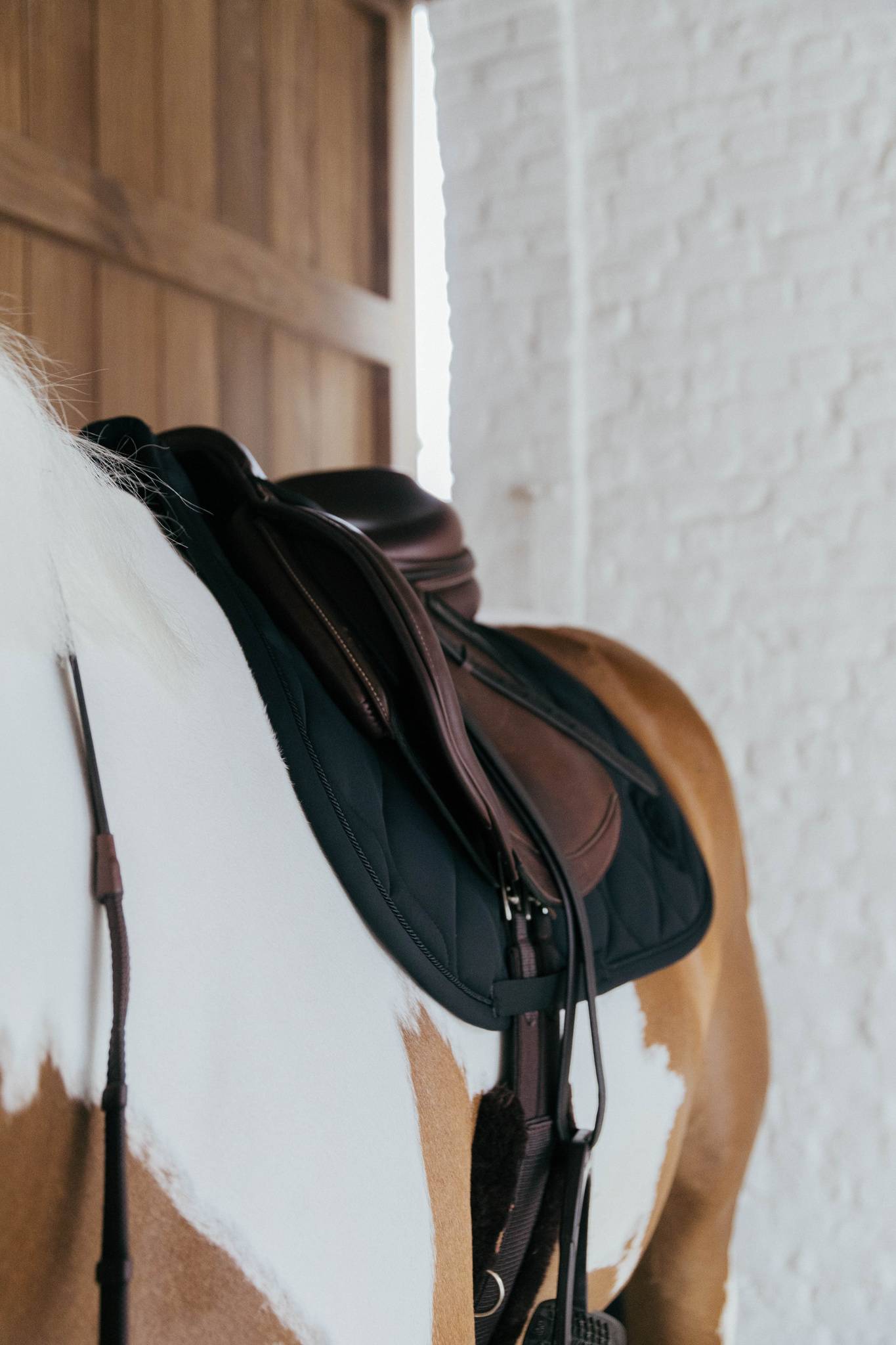 Tapis de selle 3D Wave - Kentucky