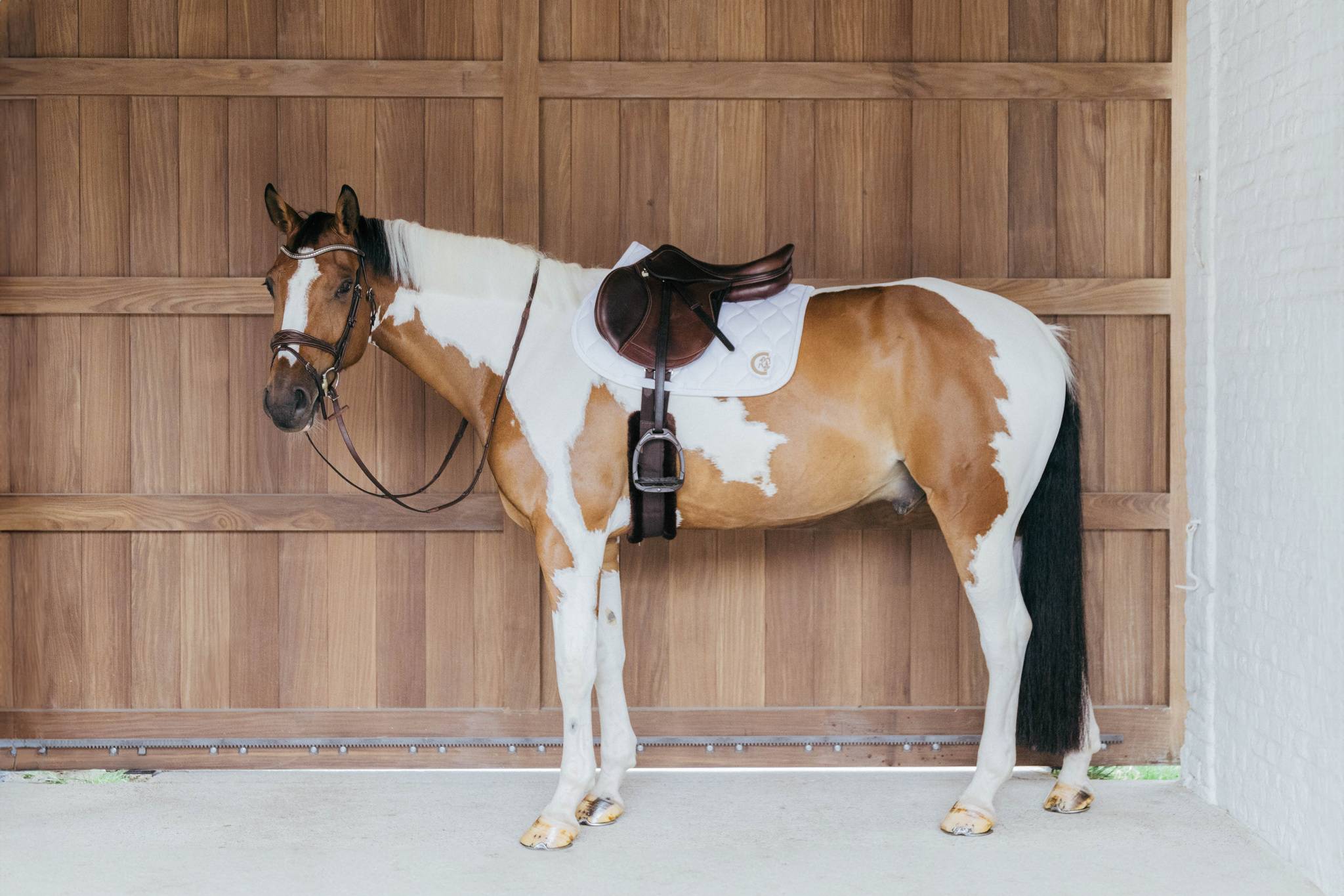 Tapis de selle 3D Wave - Kentucky