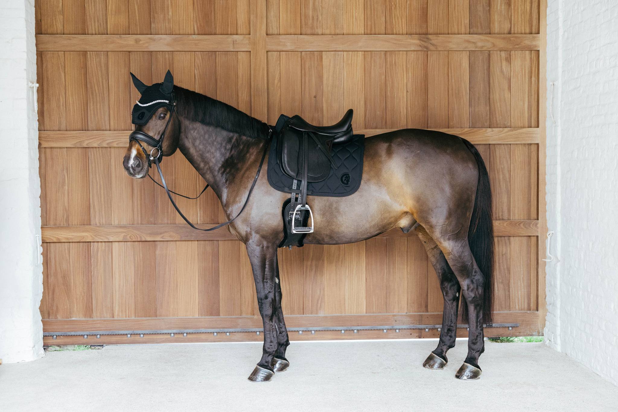 Tapis de selle 3D Wave - Kentucky