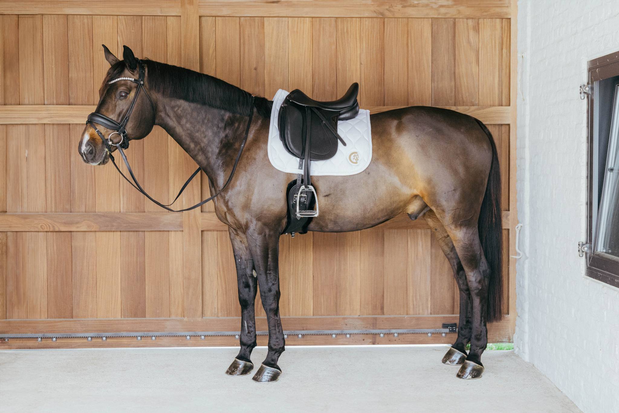 Tapis de selle 3D Wave - Kentucky