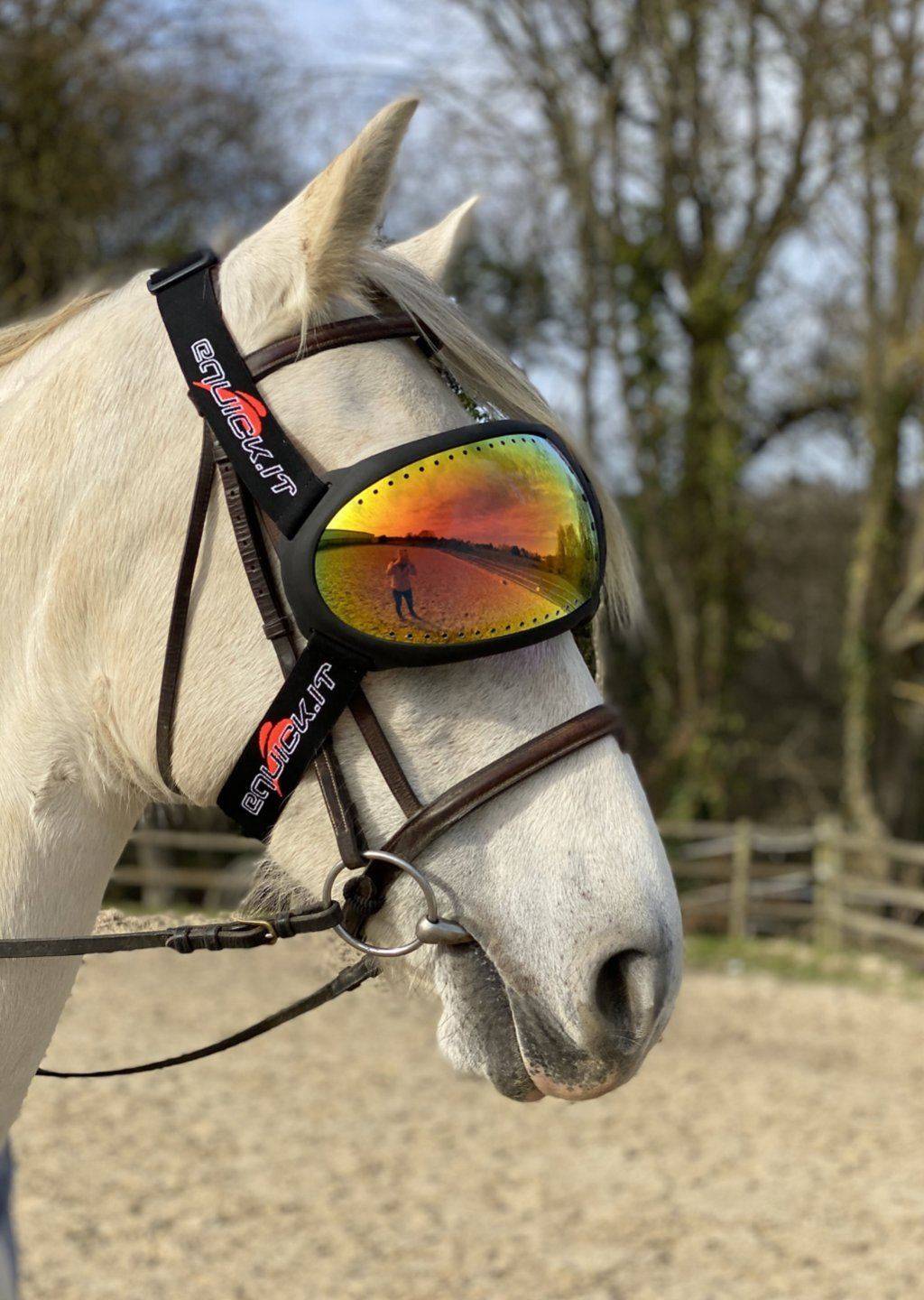 eVysor anti-UV glasses - EQUICK