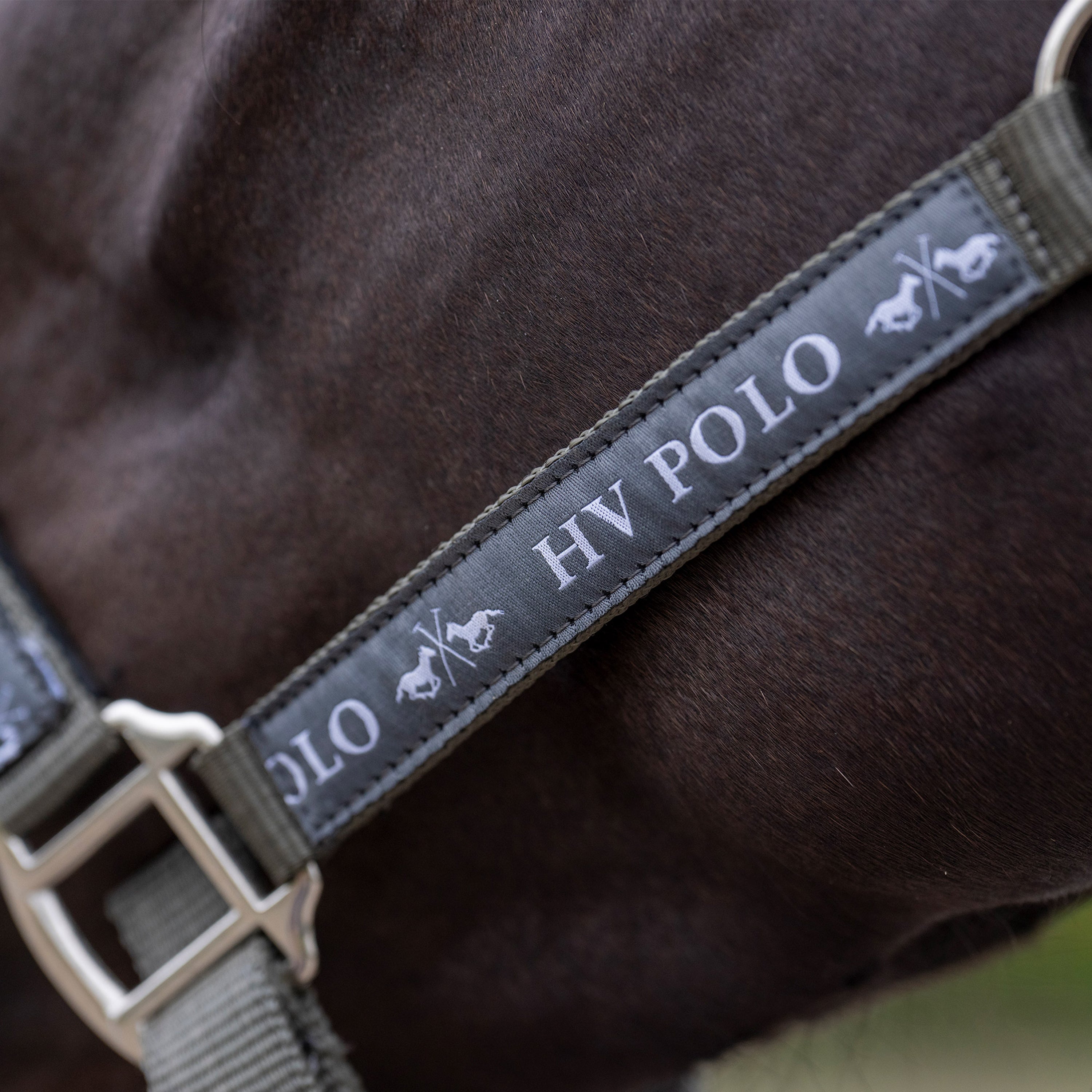 Licol HV Polo