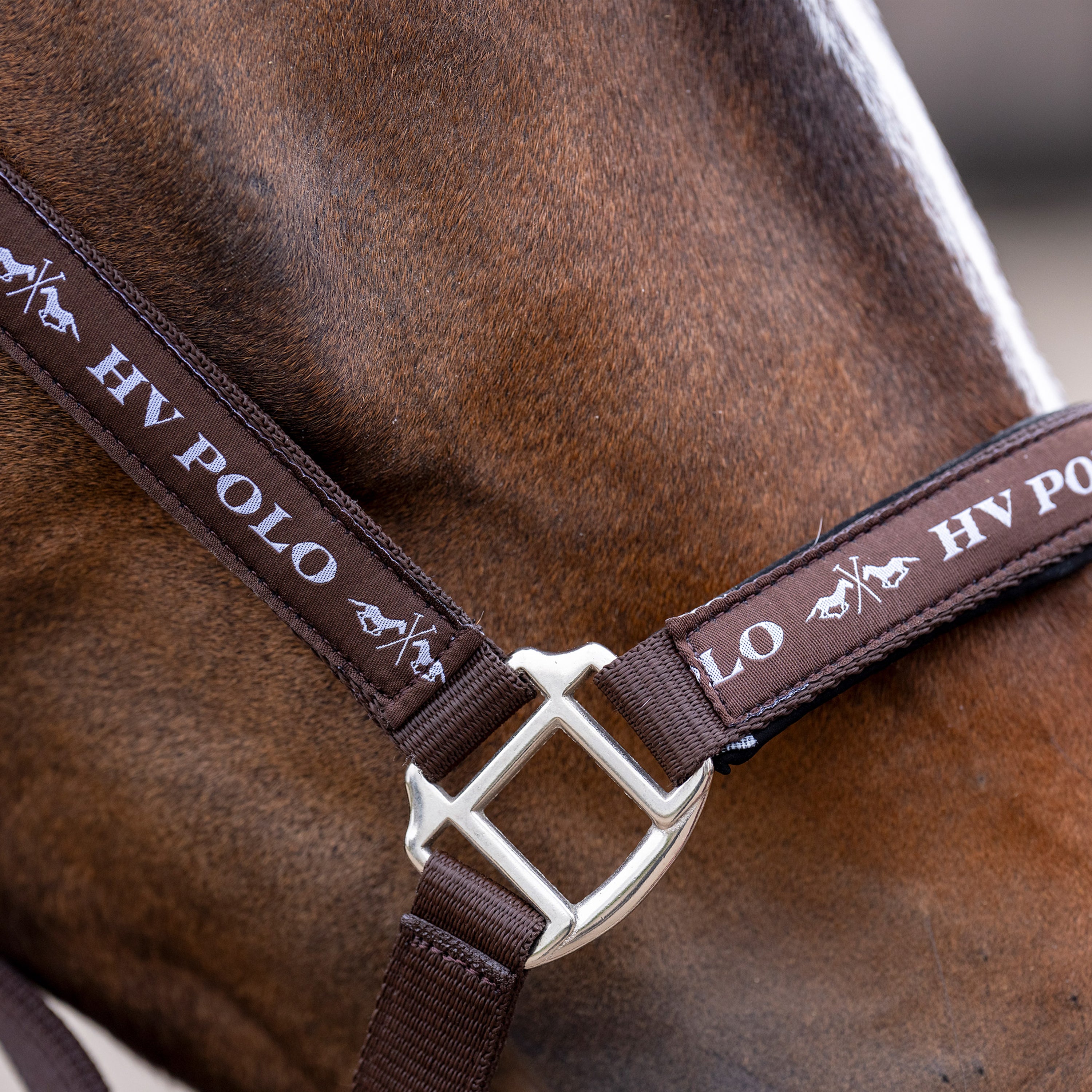 Licol HV Polo