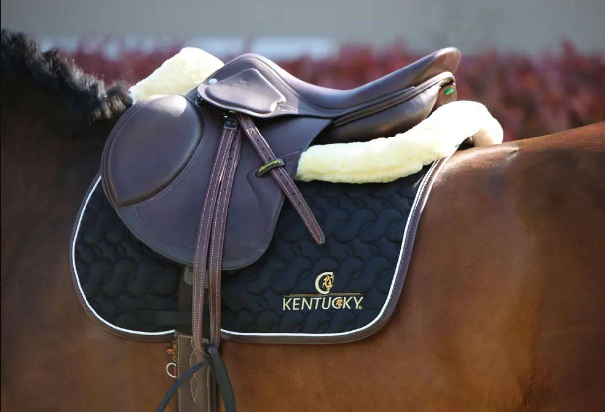 Absorb Sheep Anatomical Shock Absorber - KENTUCKY