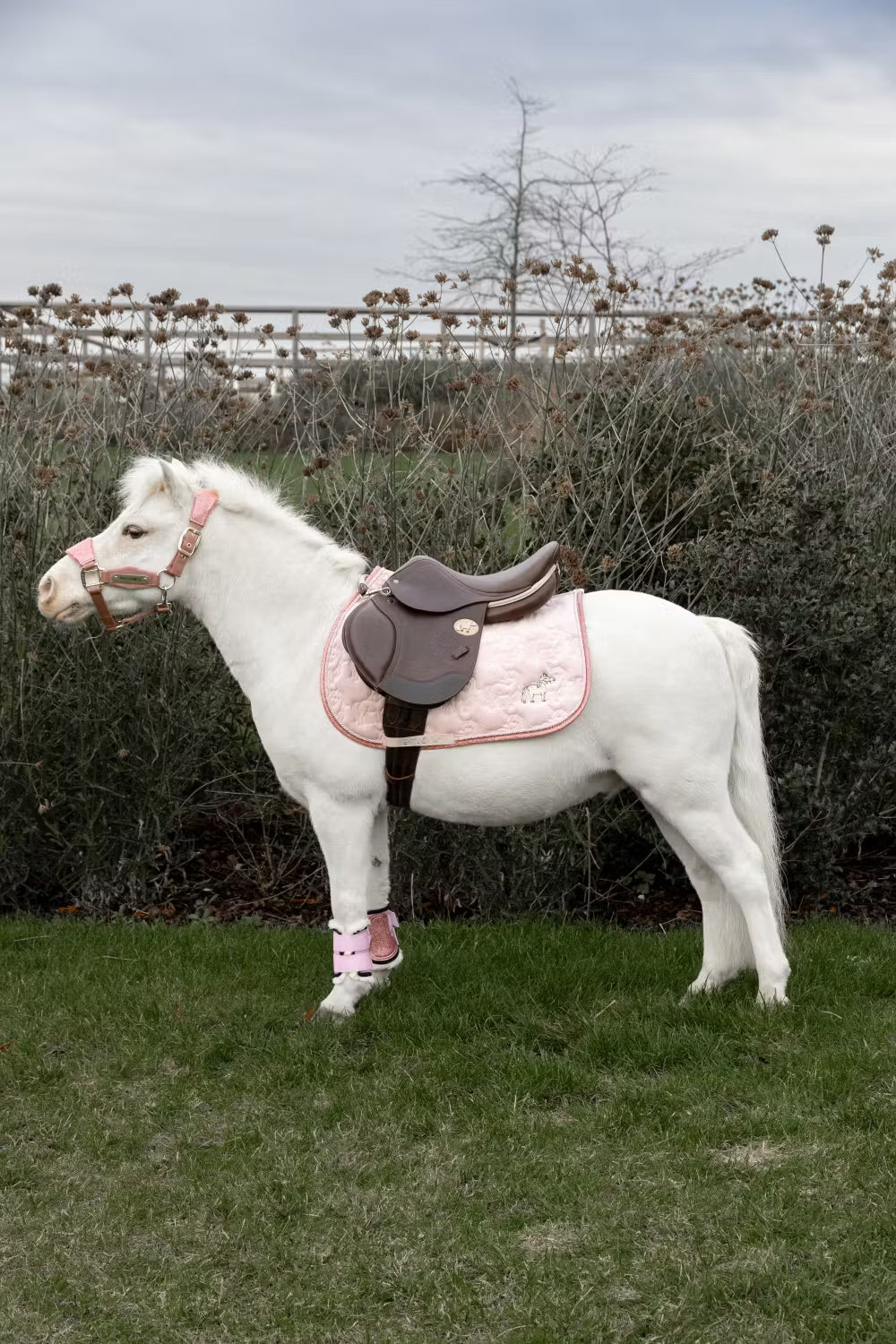 Tapis de selle Licorne pailleté MIXTE - Kentucky