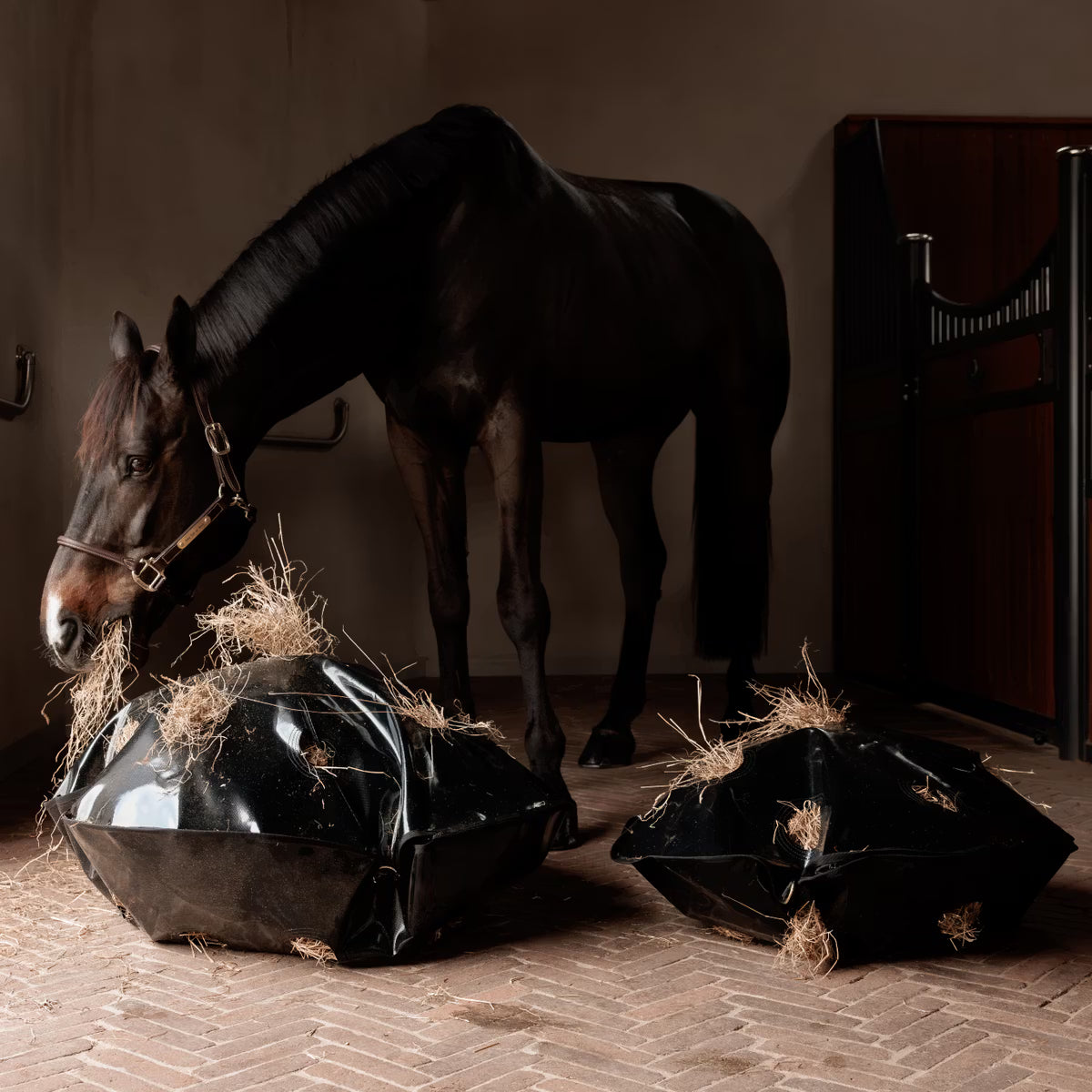 Sac à foin rond Play & Slow feeder - Grooming Deluxe