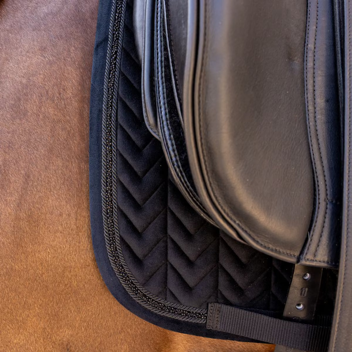 Tapis Velvet Mini Pearl Dressage Noir - KENTUCKY