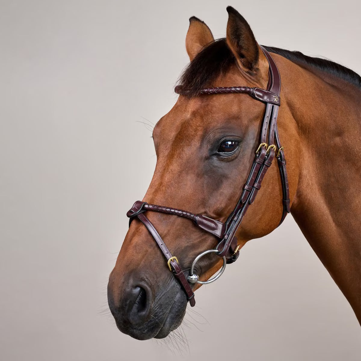 Round braided combined noseband bridle - Dy&