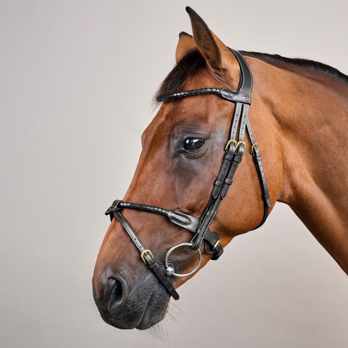 Round braided combined noseband bridle - Dy&