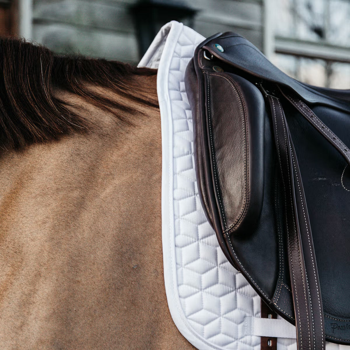 Classic saddle pad - Kentucky