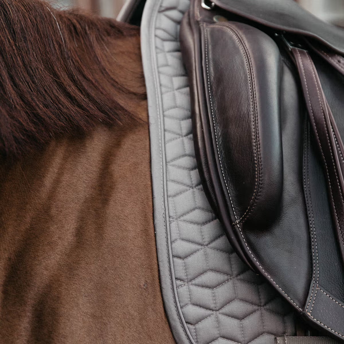 Classic saddle pad - Kentucky