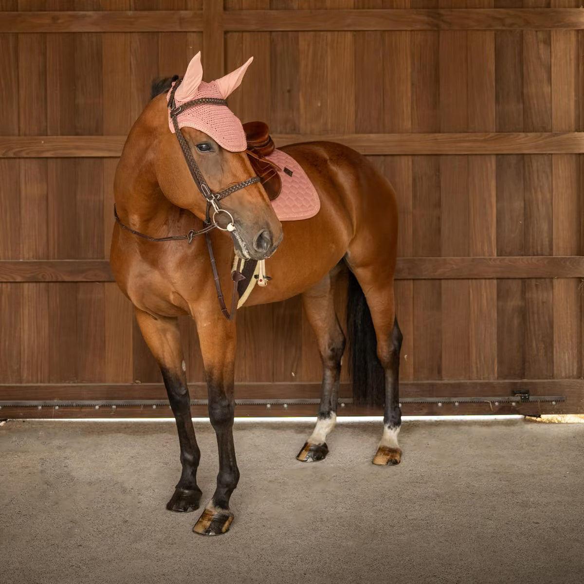 Tapis de selle Classic Onion pailleté MIXTE - Kentucky