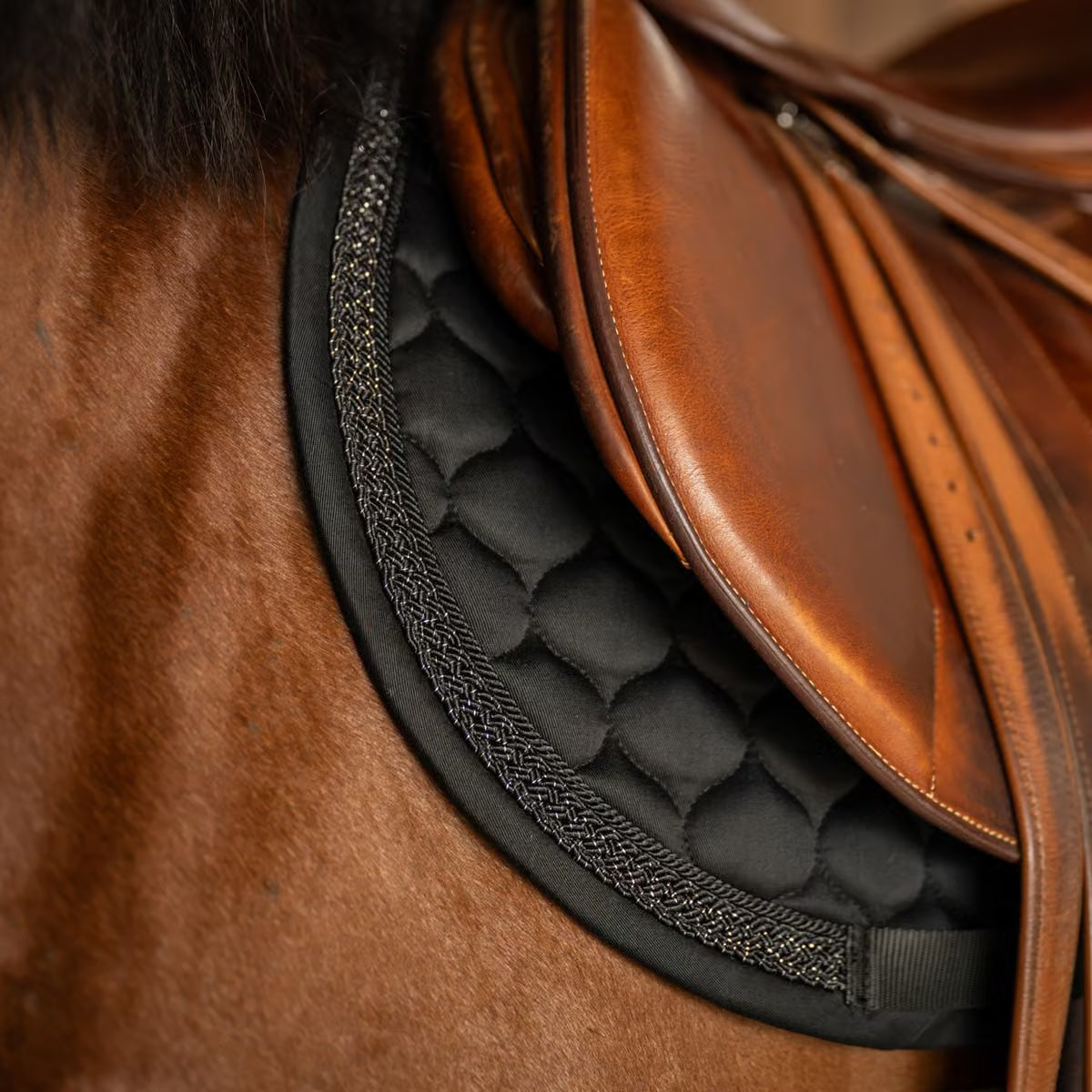 Tapis de selle Classic Onion pailleté MIXTE - Kentucky